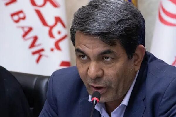 استاندار کرمان: گروه مالی گردشگری شریک راهبردی توسعه استان کرمان است
