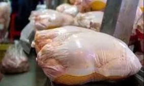 مرغ؛ سلطان سفره‌های ایرانی با سهم ۹۷ درصدی!