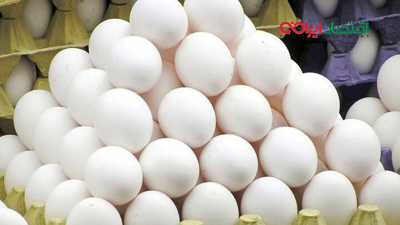 قیمت تخم مرغ تا پایان سال تغییر نمی کند
