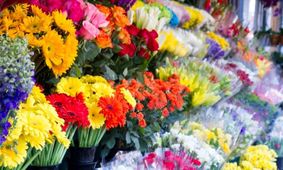 قیمت گل سر به فلک کشید؛ عشق خرج‌دار شد!