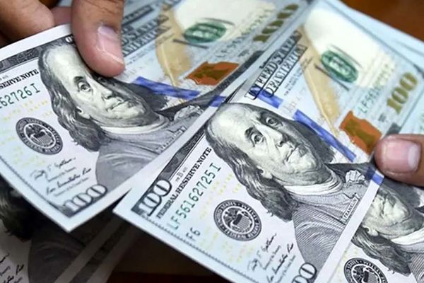 بازگشت ارز سهمیه‌ای / به هر ایرانی ۱۰۰۰ یورو ارز دولتی تعلق می‌گیرد + شرایط