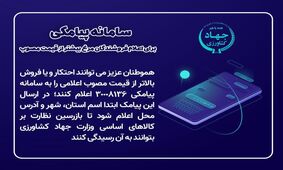 روش نقره داغ کردن مرغ فروش ها با یک کلیک 