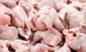 جدیدترین قیمت مرغ اعلام شد
