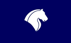 شرایط جدید ایران‌خودرو اعلام شد / خرید خودرو بدون نیاز به حساب وکالتی !
