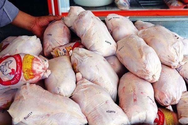 فاجعه در بازار مرغ؛ کنترل اوضاع از دست رفت!