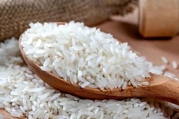 کاهش جنجالی قیمت برنج؛ تصمیمی که همه منتظرش بودند!