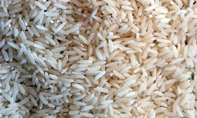 پشت پرده بازی خطرناک دلالان در بازار برنج فاش شد!