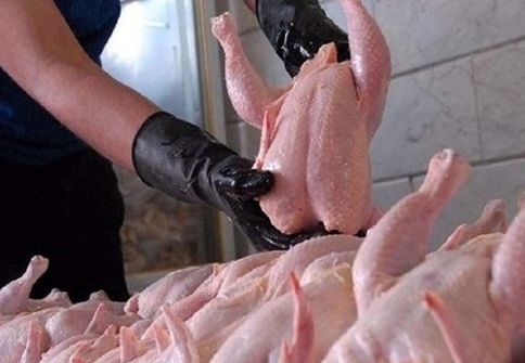  مقصر گرانی مرغ مشخص شد! 