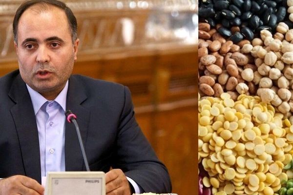 وزیر کشاورزی؛ افزایش قیمت‌ها منطقی و توجیه‌پذیر است! +فیلم