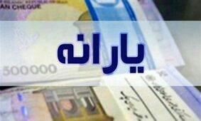 مراحل جداسازی یارانه از خانواده برای یارانه‌بگیران!