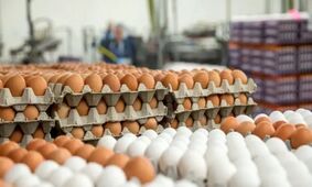تخم‌مرغ ارزان شد / گرانتر از این قیمت نخرید !
