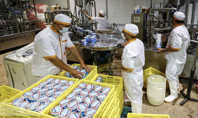 یارانه روغن و شکر به لبنیات اختصاص یابد