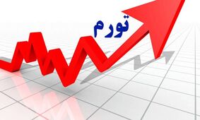 آمار واقعی تورم فاش شد؛ افشاگری عجیب یک نماینده مجلس