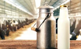 خبر جنجالی درباره قیمت شیر خام / رسماً اعلام شد