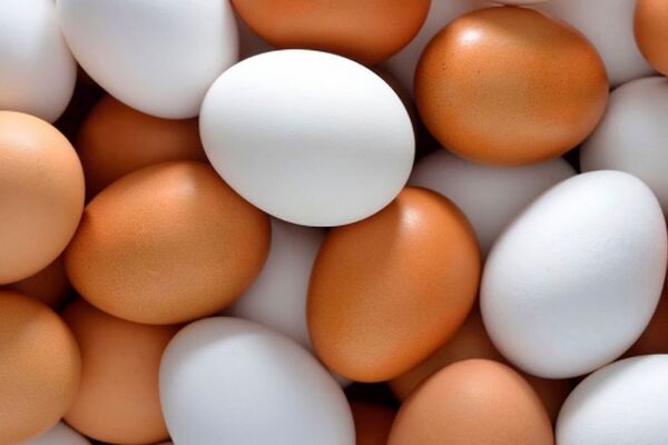 هر شانه تخم مرغ به چند تومان رسید؟