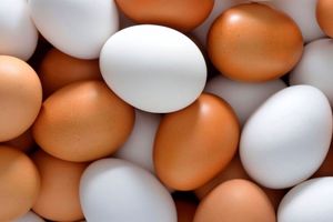 هر شانه تخم مرغ به چند تومان رسید؟