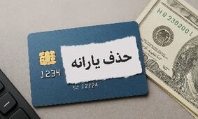 یارانه‌ها حذف شدنی نیستند اما دولت پزشکیان بهانه‌ای تازه پیدا کرد!