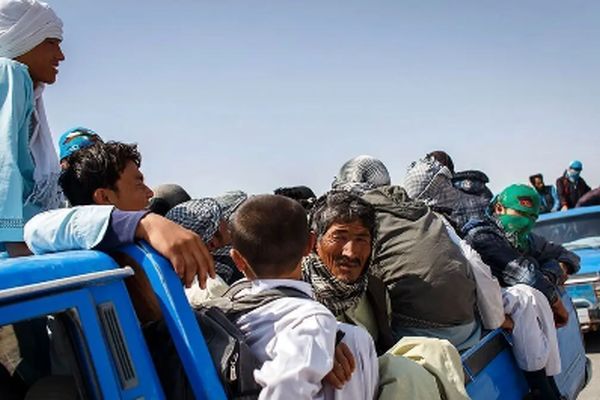 حقیقت تلخ جستجوی خانه به خانه برای اخراج افغانستانی‌ها