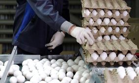 جدیدترین خبر از بازار تخم مرغ؛ قیمت‌ها در یک ماه دو برابر شدند!