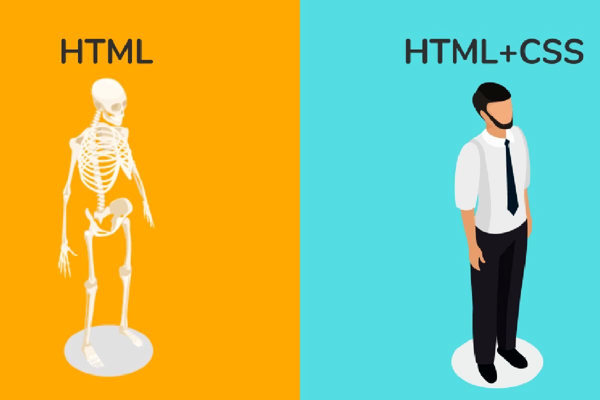 مقایسه CSS و HTML