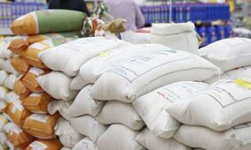 پشت پرده گرانی برنج مشخص شد/ آیا به زودی این کالا اساسی ارزان می‌شود؟ 