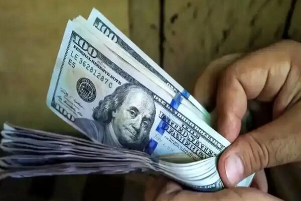 پیش‌بینی عجیب قیمت دلار توسط فعال اقتصادی معروف