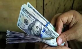 پیش‌بینی عجیب قیمت دلار توسط فعال اقتصادی معروف