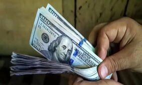 پیش‌بینی عجیب قیمت دلار توسط فعال اقتصادی معروف