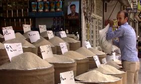 کاهش قیمت برنج ایرانی؛ کیلویی فقط ۲۱۰ تا ۲۲۰ هزار تومان!