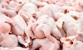 دلایل افزایش قیمت گوشت مرغ در بازار!