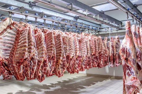 قیمت گوشت امروز ۱۶ تیر اعلام شد + جدول