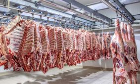 وزیر جهاد کشاورزی ؛ قیمت تمام‌شده گوشت  واقعیتی انکارناپذیر است