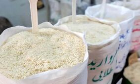 واردات برنج آغاز شد + جزئیات برای ثبت سفارش