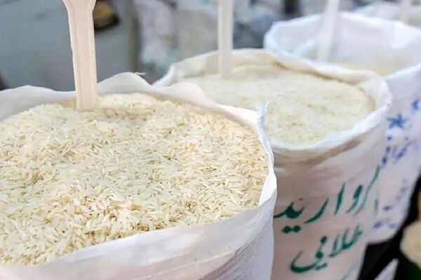 واردات برنج آغاز شد + جزئیات برای ثبت سفارش