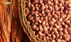 قیمت لوبیا چیتی رکورد جدید گرانی در بازار را ثبت کرد