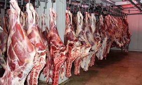 گوشت قرمز در دولت سیزدهم چقدر گران شد؟

