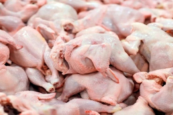 قیمت مرغ تنظیم بازاری چند ؟!