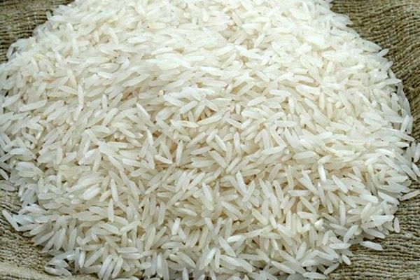 لیست قیمت برنج وارداتی امروز ۲۵ مهر ۱۴۰۴ / برنج هندی و پاکستانی کیلویی چند؟