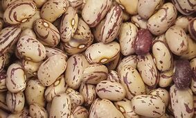 گرانی سرسام‌آور لوبیاچیتی؛ از ایران تا آمریکا چقدر تفاوت دارد؟