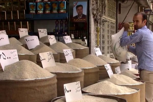 افشای جهش عجیب قیمت برنج؛ مصوب ۶۶ هزار، فروش ۱۷۵ هزار تومان!