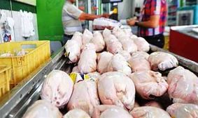 قیمت مرغ در بازار بی‌سابقه رکورد زد/ خبری از قیمت مصوب نیست!