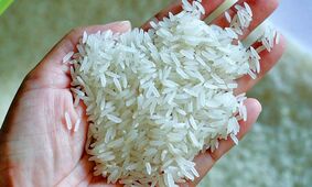 خطاب وزیر به بازار برنج/ گوش شنوایی نیست!