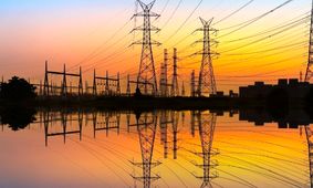  افعی برق‌خوار ایران شناسایی شد