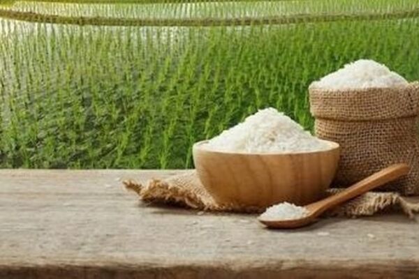برنج طارم، عنبربو، هاشمی و...را کیلویی چند بخریم؟