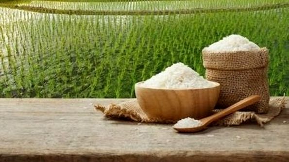 شوک جدید به سفره مردم / برنج مورد علاقه ایرانی ها گران شد 