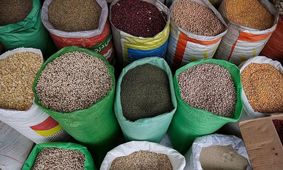 افزایش عجیب قیمت لوبیاچیتی در هشت سال 40 برابر شد!