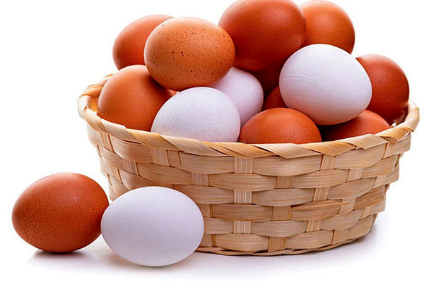 جدیدترین قیمت تخم مرغ در بازار اعلام شد