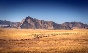 زمین‌خواری، چالش مهم منابع طبیعی کشور