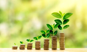 بله! حفظ محیط زیست یعنی "نه" به رشد اقتصادی !