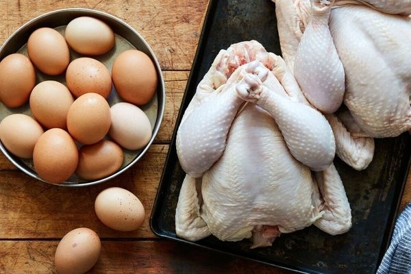 قیمت مرغ و تخم‌مرغ رکورد زد! پشت پرده بحران کمبود نهاده‌های دامی